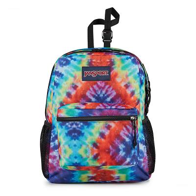Multicolor JanSport CENTRAL ADAPTIVE School Backpacks | SG_JS03B