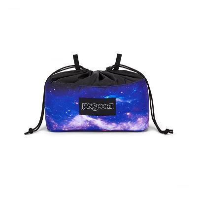 Multicolor JanSport CINCH CADDY Pencil Cases | SG_JS588