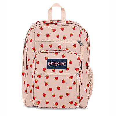 Pink JanSport BIG STUDENT Laptop Backpacks | SG_JS426