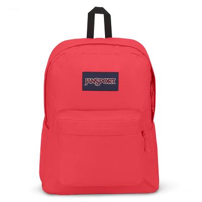 Pink JanSport SuperBreak® Plus School Backpacks | SG_JS109